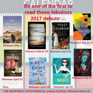 2017 Debuts Big Book Giveaway | leahdecesare.com